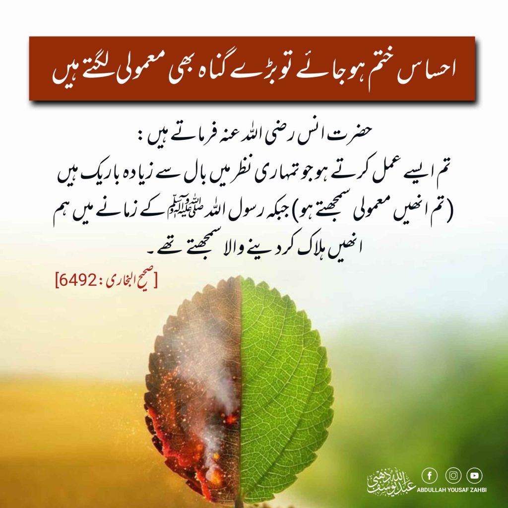 mutfariqat.3
