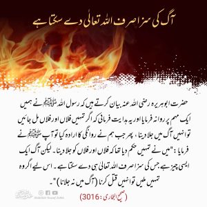 Read more about the article آگ کی سزا صرف اللہ تعالی دے سکتا ہے