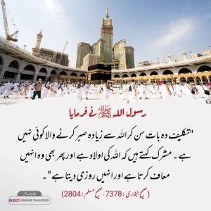 Read more about the article اللہ سے زیادہ صبر کرنے والا کوئی نہیں