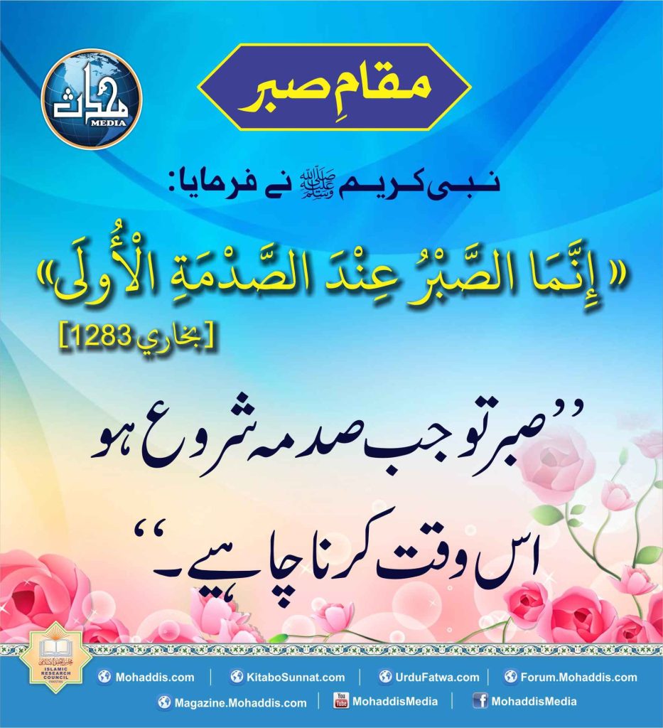 sabr 9