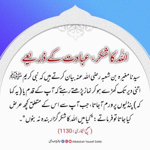 Read more about the article اللہ کا شکر عبادت کے ذریعے