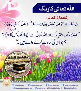 Read more about the article اللہ تعالی کا رنگ