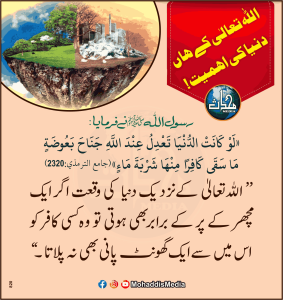 Read more about the article اللہ تعالی کے ہاں دنیا کی اہمیت