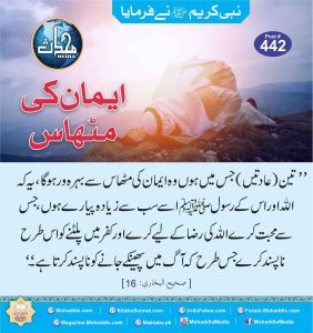 Read more about the article ایمان کی مٹھاس