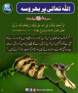 Read more about the article اللہ تعالیٰ پر بھروسہ