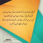 Read more about the article قربانی کرنے وال بھی اپنے عیبوں کی طرف دیکھے