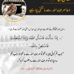 Read more about the article دعا صرف اللہ سے مانگنی چاہیے