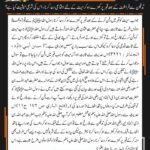 Read more about the article قبر پر اجتماعی دعا