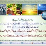 Read more about the article سیدنا عبد اللہ بن عمر فرمایا کرتے تھے