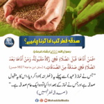 Read more about the article صدقہ فطر کب ادا کرنا چاہیئے؟