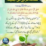 Read more about the article صدقہ کرنے کی اہمیت