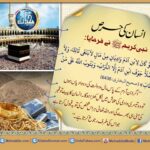 Read more about the article انسان کی حرص