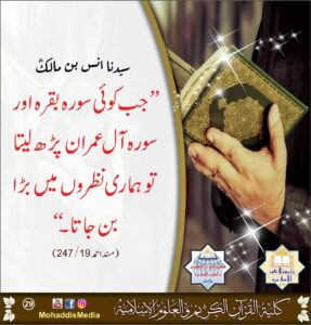 Read more about the article سیدنا انس بن مالک رضی اللہ عنہ