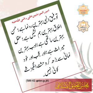 Read more about the article امیر المومنین علی رضی اللہ عنہ