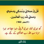 Read more about the article اعمال صرف اللہ کے لیے ہونے چاہیے