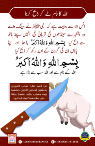 Read more about the article اللہ کا نام لے کر ذبح کرنا