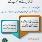 Read more about the article اللہ کے محبوب کلمے