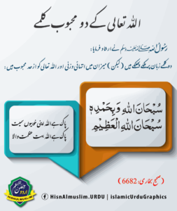 Read more about the article اللہ کے محبوب کلمے