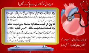 Read more about the article اپنے دل کو گناہوں سے پاک رکھیں