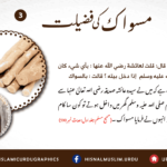 Read more about the article مسواک کی فضیلت