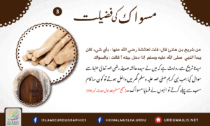 Read more about the article مسواک کی فضیلت