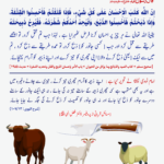 Read more about the article قربانی کو احسن طریقے ذبح کرنا