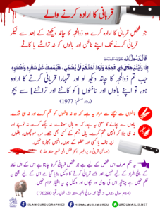 Read more about the article قربانی کا ارادہ کرنے والا