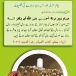 Read more about the article یوم عرفہ