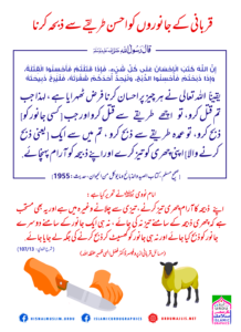 Read more about the article قربانی کے جانوروں کو احسن طریقے سے ذبحہ کرنا