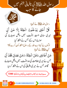 Read more about the article رسول اللہ کی نافرمانی جہنم میں جانے کا سبب