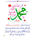 Read more about the article رسول اللہ ﷺ شرم و حیاء والے تھے