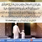 Read more about the article اللہ ہر چیز کو جمع کریگا