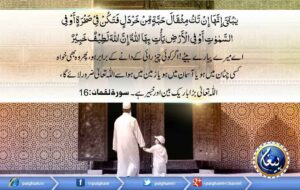 Read more about the article اللہ ہر چیز کو جمع کریگا