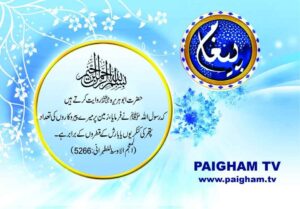 Read more about the article رسول اللہ کے پیروکاروں کی تعداد