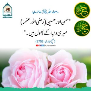 Read more about the article رسول اللہ ﷺ کے دو پھول