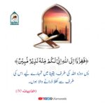 Read more about the article اللہ کی طرف دوڑو