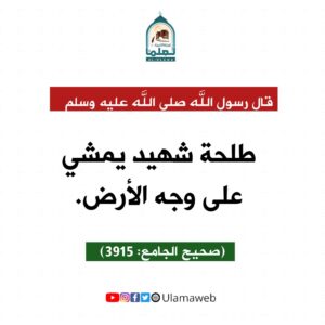 Read more about the article طلحة شهيد يمشي على  وجه الأرض