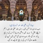 Read more about the article آپ ﷺ کی آمد پر مدینہ منور ہوگیا