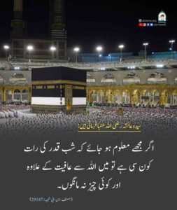 Read more about the article سیدہ عائشہ رضی اللہ عنھا اور شب قدر کی رات