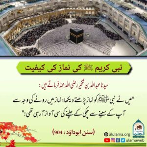 Read more about the article نبی کریم ﷺ کی نماز کی کیفیت