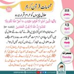 Read more about the article حلال چیزوں کو حرام قرار نہ دو