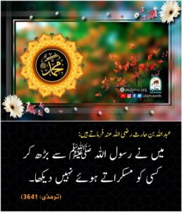 Read more about the article رسول اللہ ﷺ کی مسکراہٹ