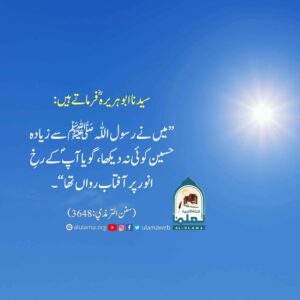 Read more about the article میں نے رسول اللہ ﷺ سے زیادہ حسین کوئی نہ دیکھا