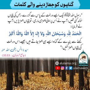 Read more about the article گناہوں کو جھاڑ دینے والے کلمات