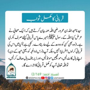 Read more about the article قربانی کا مکمل ثواب