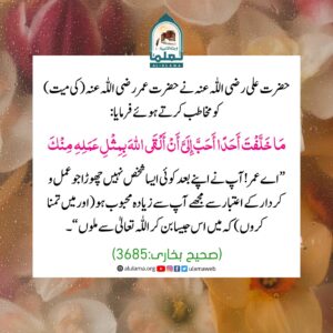 Read more about the article حضرت علی نے حضرت عمر رضی اللہ عنہما کی میت کو مخاطب کرتے ہوئے کہا