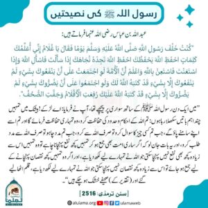 Read more about the article رسول اللہ کی نصیحتیں