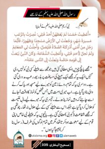 Read more about the article رسول اللہ صلی اللہ علیہ وسلم کے خاصے