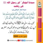 Read more about the article سیدنا ابوبکر رضی اللہ عنہ اور رسول اللہ ﷺ کی رفاقت