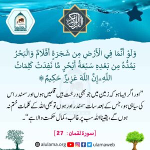 Read more about the article یقینا اللہ سب پر غالب،کمال حکمت والا ہے۔